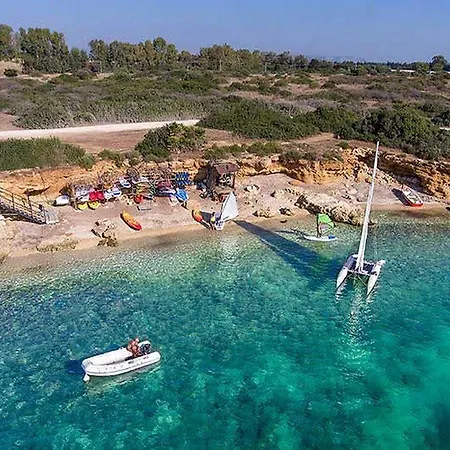 Voi Arenella (Syracuse)