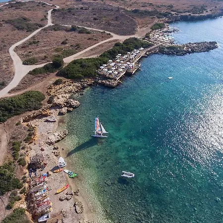 Voi Arenella (Syracuse)