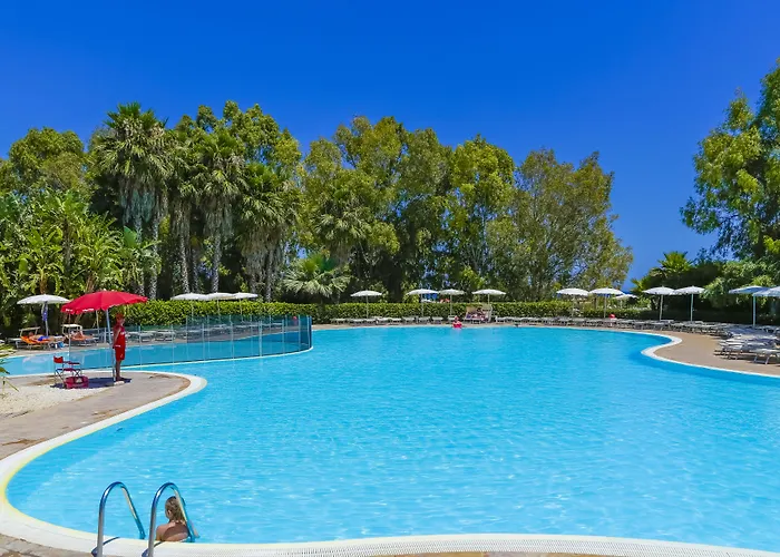 Voi Arenella (Syracuse)